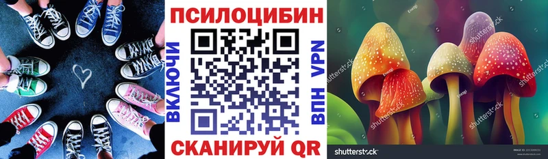где купить наркоту  сайты даркнета наркотические препараты  Галлюциногенные грибы мухоморы  Каменногорск 